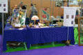 Coverre au salon du bricolage de Lyon 2012