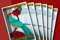 Les nouvelles cartes de visite Coverre